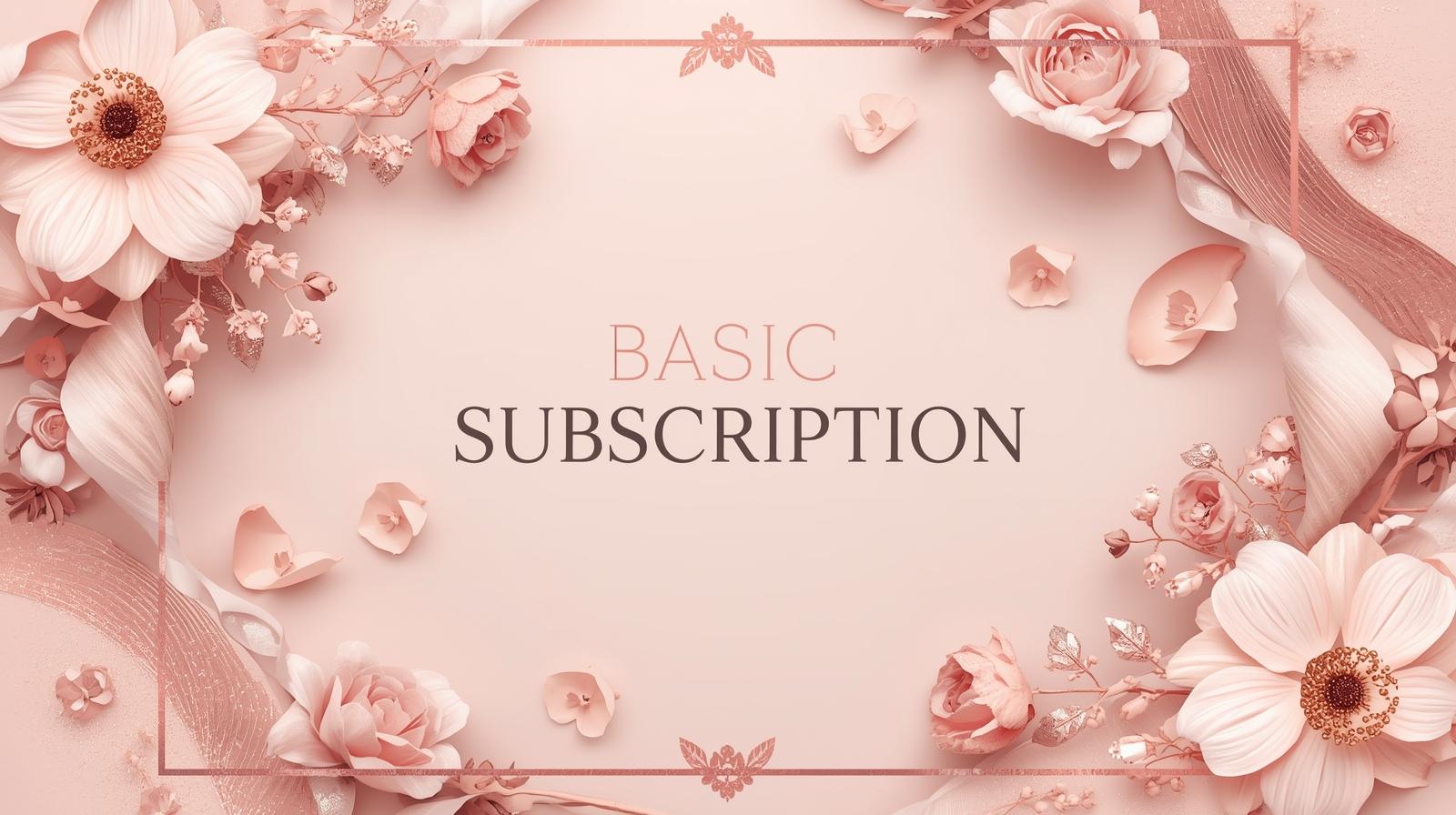 Abonament BASIC – 299 kr / miesiąc